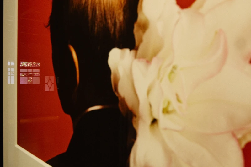 展覽現場。 展覽現場。