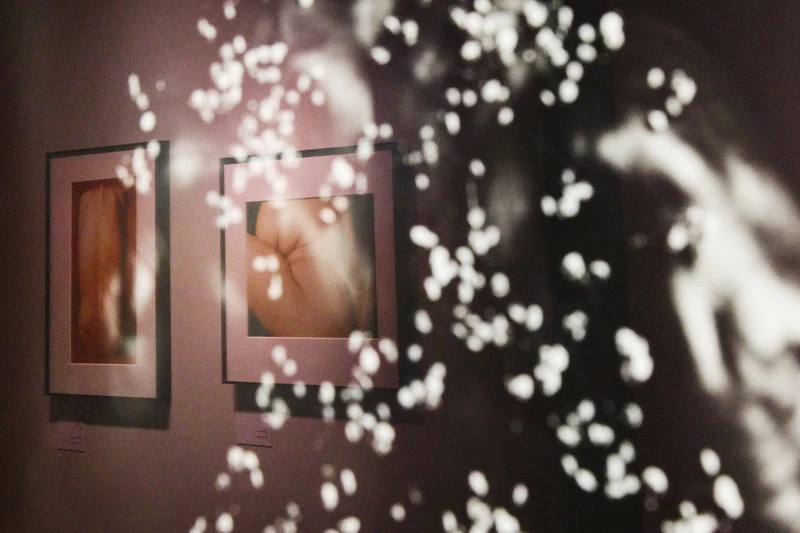 展覽現場。 展覽現場。