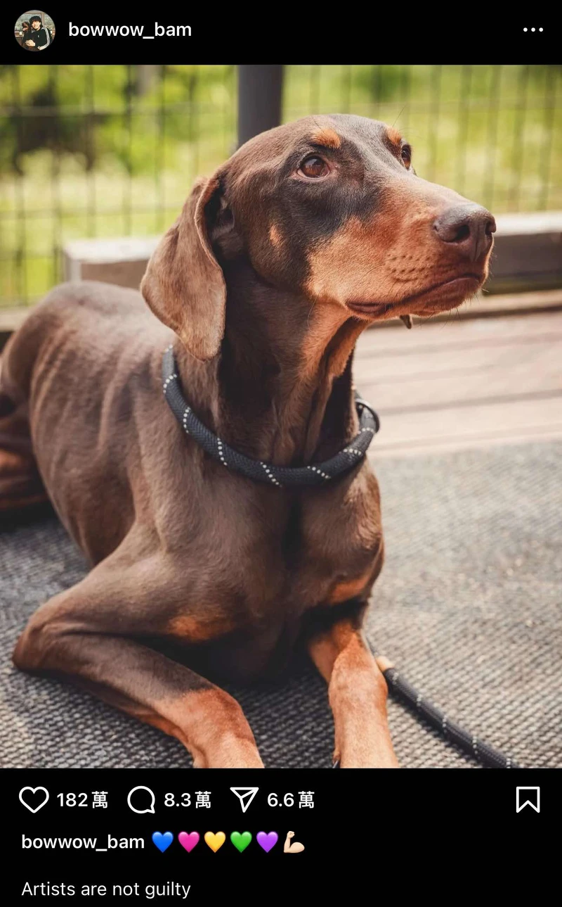 Photo / Instagram@bowwow_bam