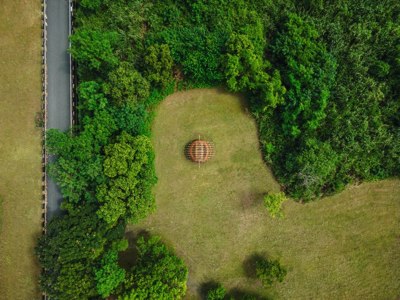 大農大富平地森林園區藝術裝置《築巢VII-台灣野豬》 大農大富平地森林園區藝術裝置《築巢VII-台灣野豬》