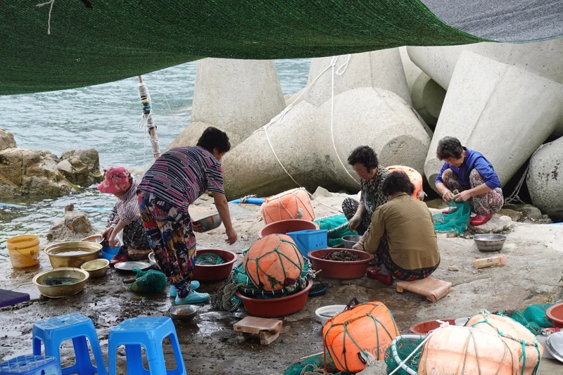 用餐區不遠處，海女奶奶們正在清洗早上補到的海鮮。
