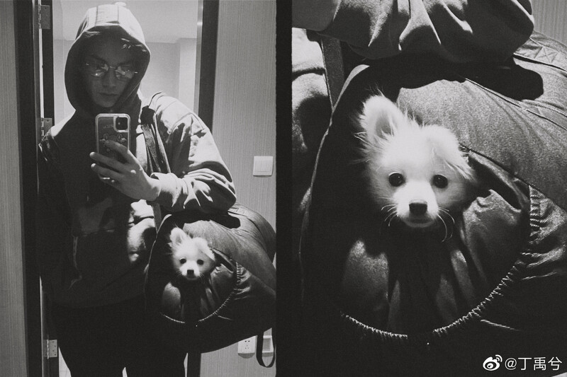 Photo/丁禹兮微博 Photo/丁禹兮微博