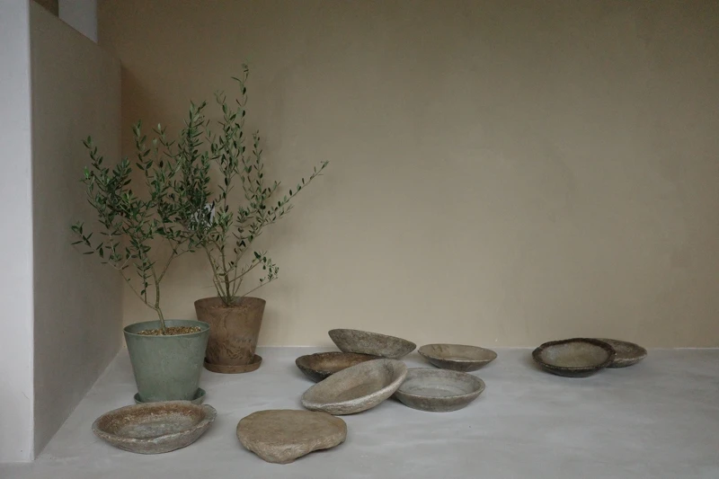 簡約的現代陶器與橄欖樹。