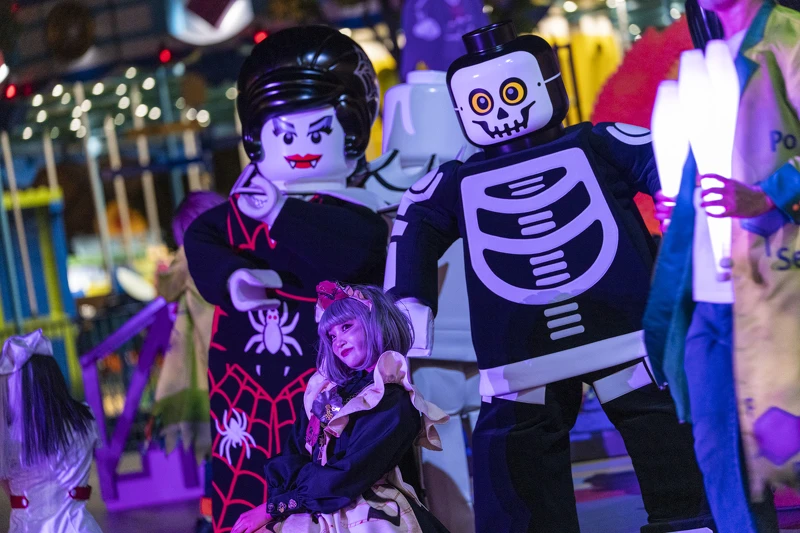 ©2024 The LEGO Group