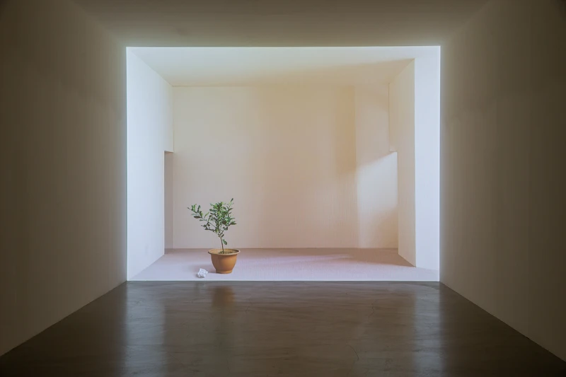 王雅慧，《日光下的靜物》，2005，錄像裝置，4分36秒。臺北市立美術館典藏。