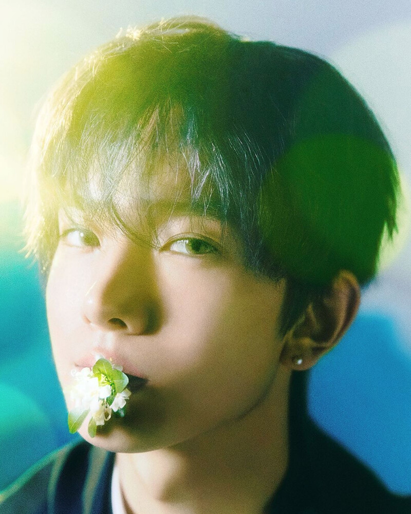 Photo / Instagram@enhypen Photo / Instagram@enhypen