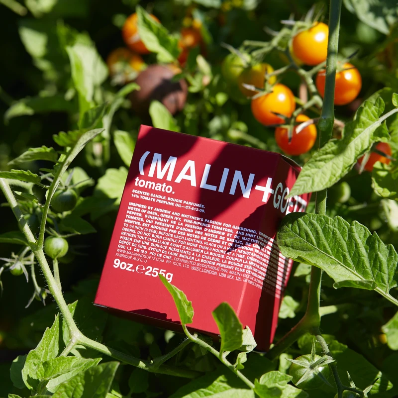 (MALIN+GOETZ)番茄香氛蠟燭255g,NT2,350 (MALIN+GOETZ)番茄香氛蠟燭255g,NT2,350