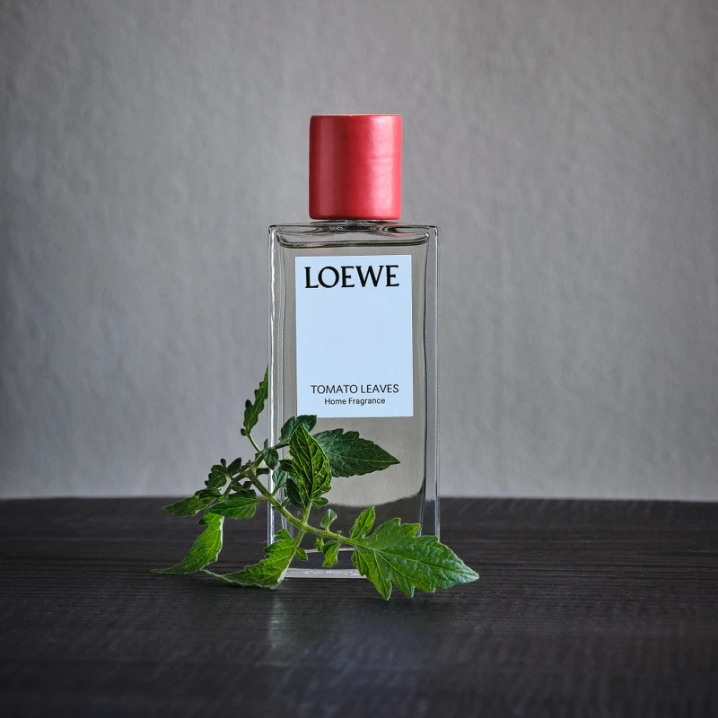 LOEWE番茄葉室內香氛噴霧150ml,NT4,200 LOEWE番茄葉室內香氛噴霧150ml,NT4,200
