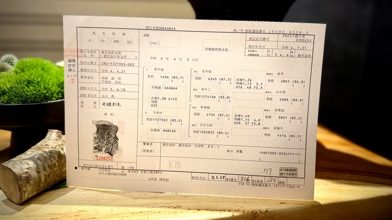 真珠牛的血統證書。 真珠牛的血統證書。