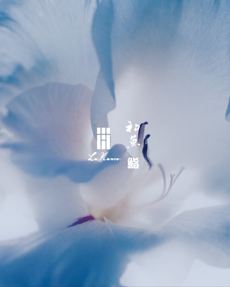 初魚餐飲集團重啟客座,再度邀請「La Kanro」主廚仲嶺淳一來台。 初魚餐飲集團重啟客座,再度邀請「La Kanro」主廚仲嶺淳一來台。