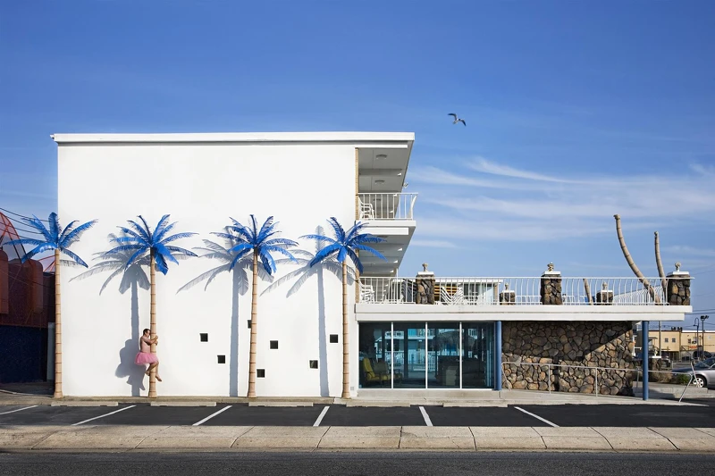 拍攝於 Blue Palms Wildwood, New Jersey 藍色棕櫚樹 新澤西州野伍德,從他的作品中可以感受到「微笑,是不需要處方籤的藥。」 拍攝於 Blue Palms Wildwood, New Jersey 藍色棕櫚樹 新澤西州野伍德,從他的作品中可以感受到「微笑,是不需要處方籤的藥。」