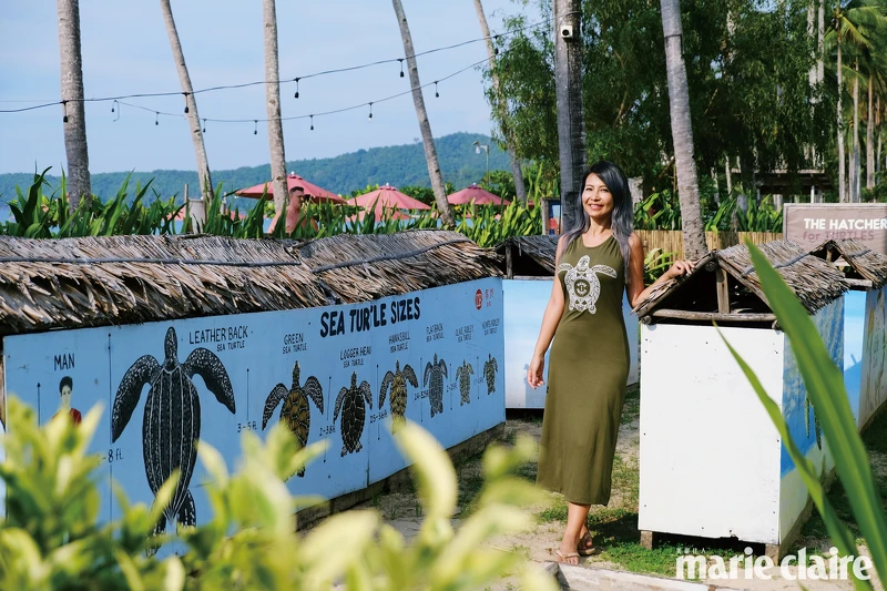 自稱是海龜寶寶代理孕母兼守護者的 Sylvia 自稱是海龜寶寶代理孕母兼守護者的 Sylvia