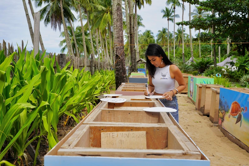 Sylvia 在海龜保育中心作孵育紀錄。 Sylvia 在海龜保育中心作孵育紀錄。