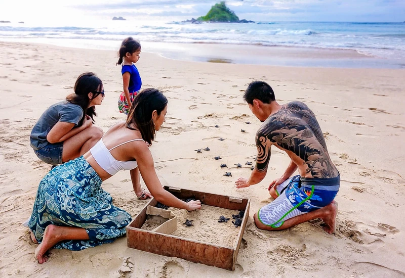 次放生孵化出來的可愛小海龜們努力爬游回到大海的家,Sylvia 和 Henry 還是會感動到掉淚。 次放生孵化出來的可愛小海龜們努力爬游回到大海的家,Sylvia 和 Henry 還是會感動到掉淚。