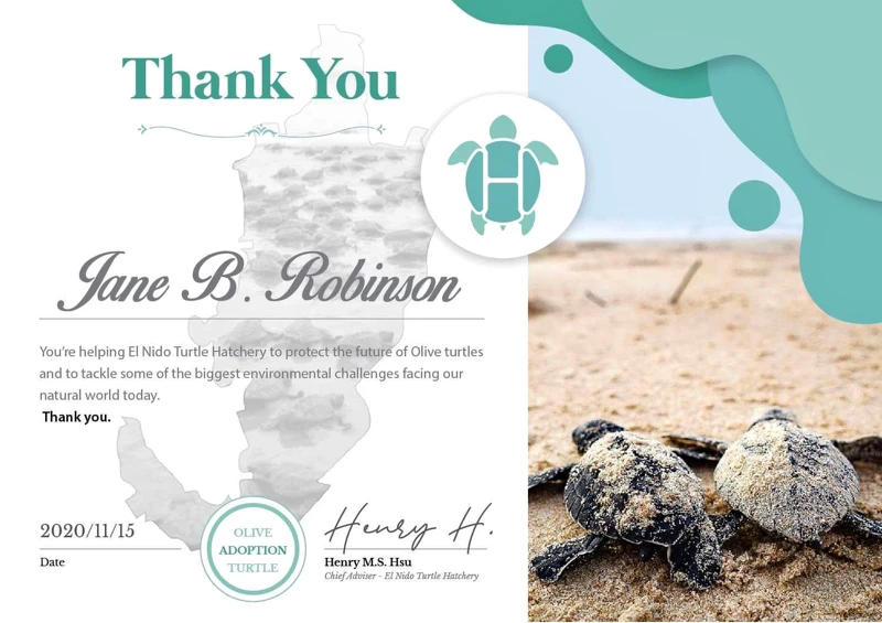 海龜認養證書 海龜認養證書