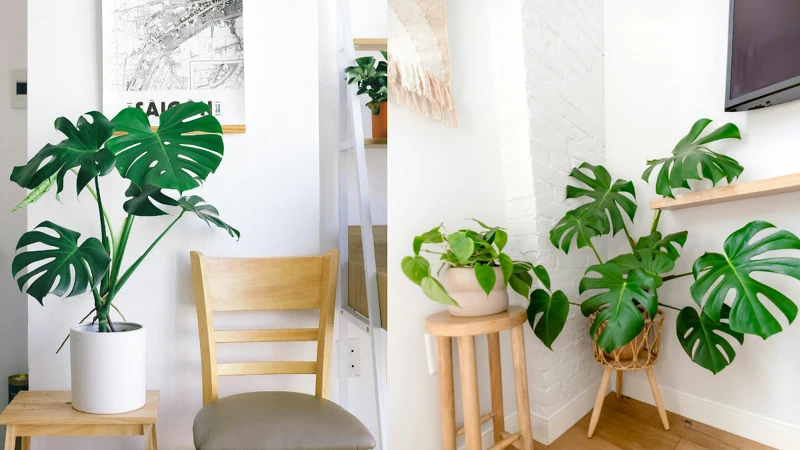 Photo/pexels.com Photo/pexels.com