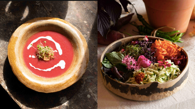 粉紅宴會餐點依序為:三日苗甜菜根發酵濃湯 粉紅宴會餐點依序為:三日苗甜菜根發酵濃湯