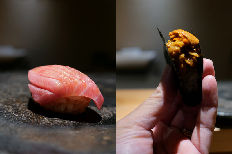 大腹與馬糞海膽。 大腹與馬糞海膽。