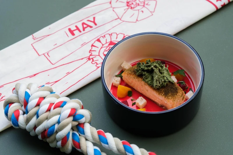 於官網預定任房型，皆能以 NT1,600元升級「HAY 寵髦 Stay HAYlish」專案。