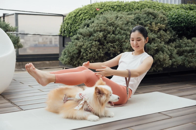 「毛孩風格瑜珈 Zen HAYmony」。