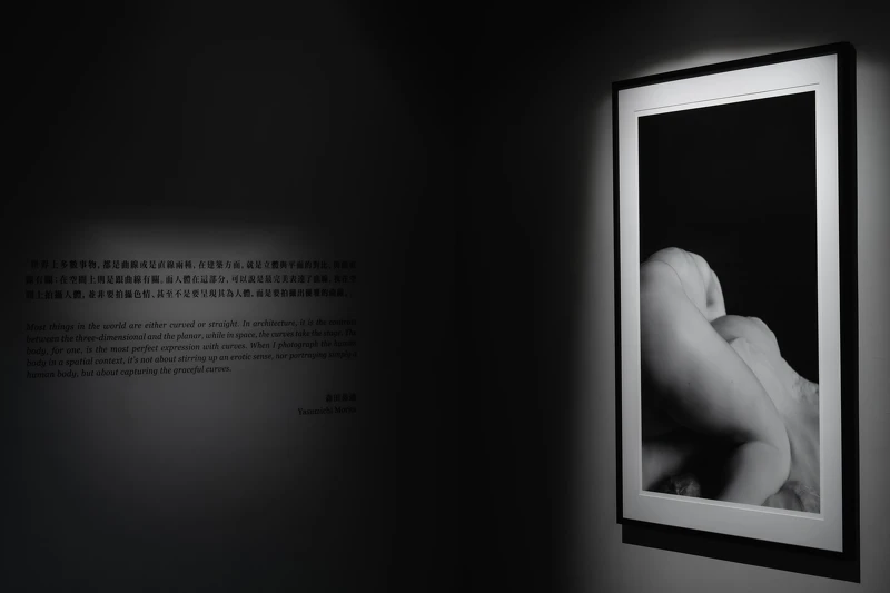 圖片提供／永添藝術．金馬賓館 ALIEN Art Centre