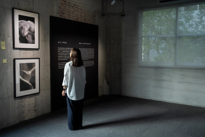 圖片提供／永添藝術．金馬賓館 ALIEN Art Centre