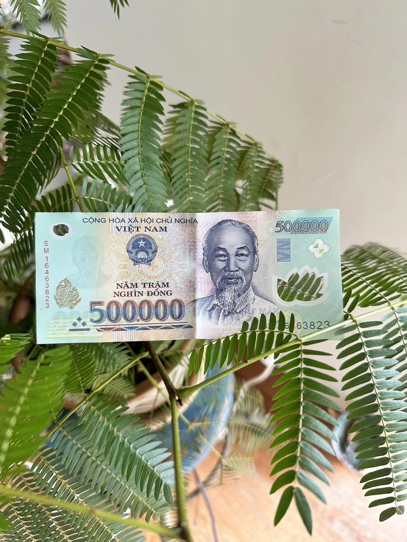 越南盾的500,000紙鈔,大約是台幣645元,在越南很容易就變成千萬富翁。 越南盾的500,000紙鈔,大約是台幣645元,在越南很容易就變成千萬富翁。