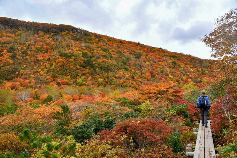那須高原在秋天宛如一幅絢爛的畫作，不論是徒步登山，還是單車騎行都很適合。