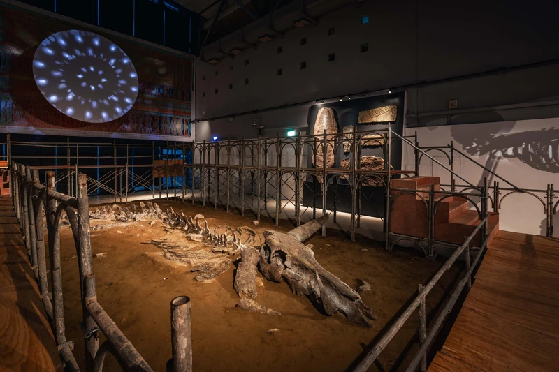 涂維政《地震博物館》，2024，觀念裝置，尺寸依場地而定；左上方投影為Raito Low 劉靜怡〈像石頭一樣柔軟〉，2024，單頻道錄像動畫，6分23秒，圖檔由哇大創意提供。