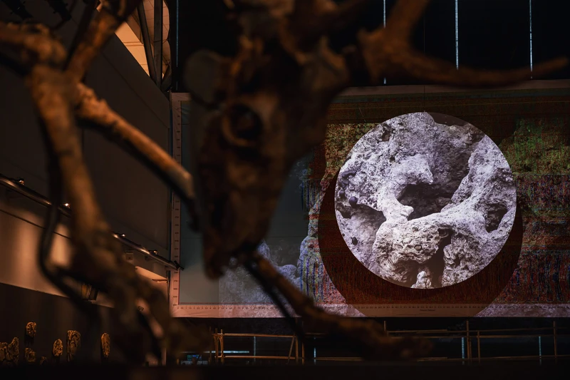 Raito Low 劉靜怡〈像石頭一樣柔軟〉，2024，單頻道錄像動畫，6分23秒；前景為涂維政《地震博物館》〈巨獸鯊鹿兒2號〉（右），2020，裝置，342x156xH200cm，圖檔由哇大創意提供。