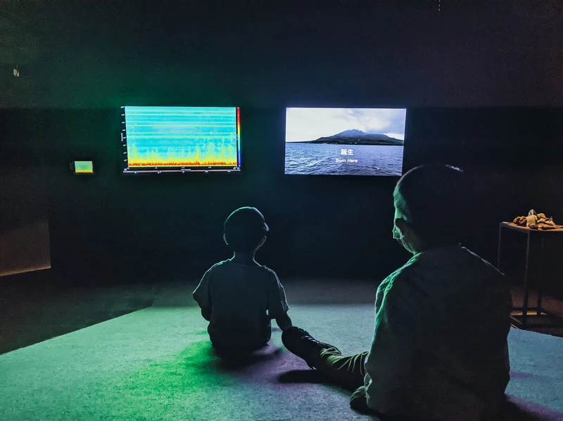 張溥騰〈深時間裡的心跳〉，2024，雙頻道錄像／裝置，尺寸依場地而定，攝影：李維尼，圖檔由哇大創意提供。