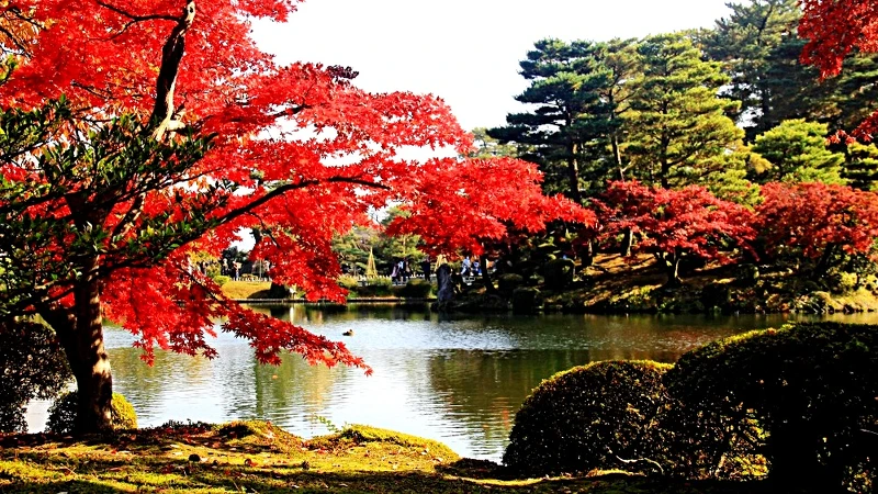 Photo／ほっと石川旅ねっと