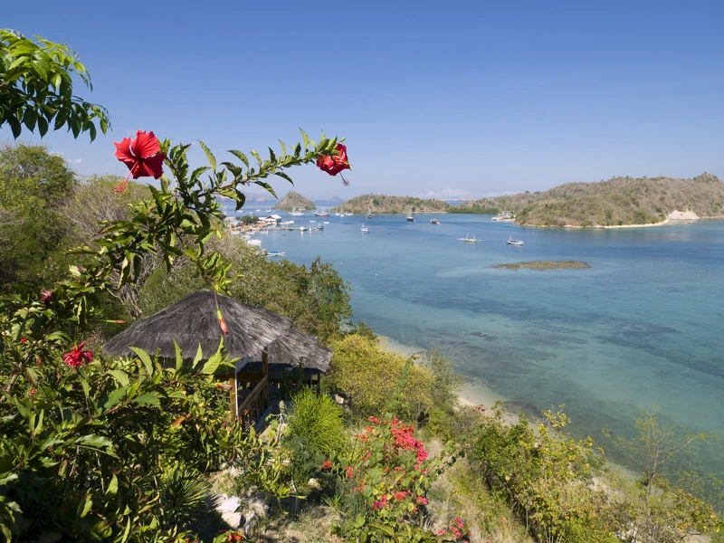 © Getty Images|心理測驗|年末最後一波水逆來了!來看生活中什麼面向可以多留意? © Getty Images|心理測驗|年末最後一波水逆來了!來看生活中什麼面向可以多留意?