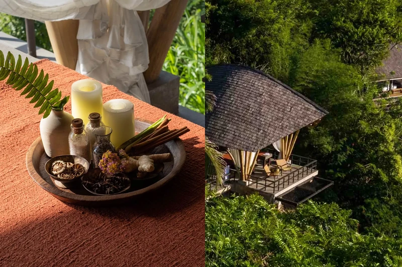 「Toja」Spa 。 「Toja」Spa 。