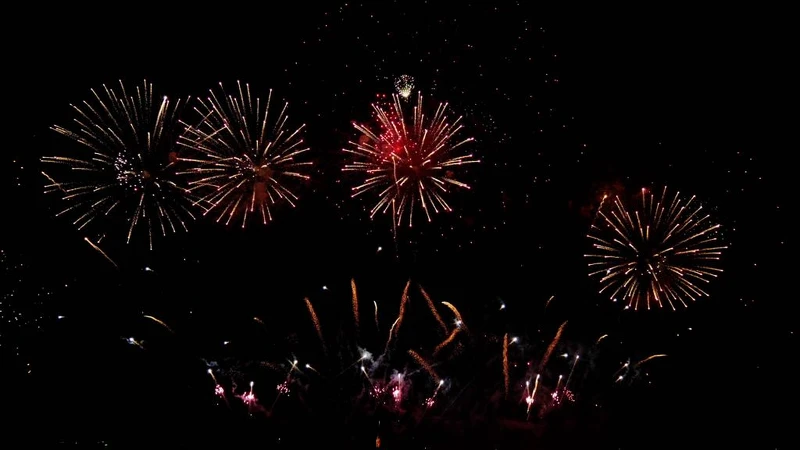 Photo / 塔羅耳語