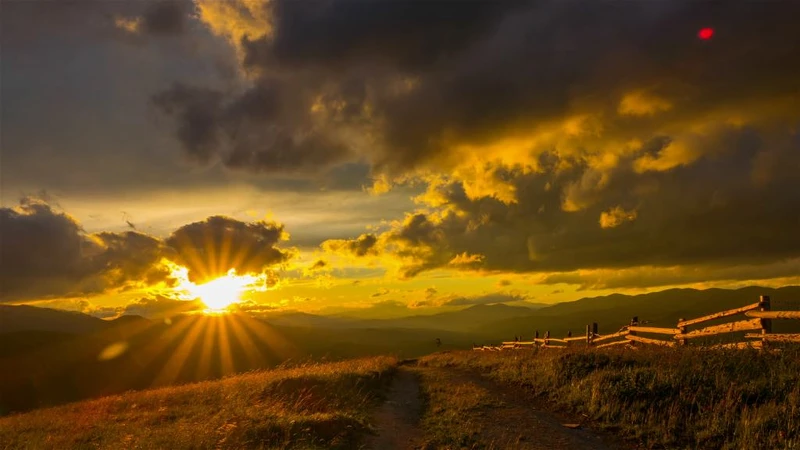 Photo / 塔羅耳語