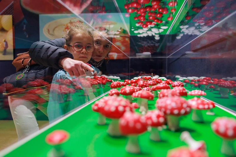 Small Is Beautiful_《看啥小—微型藝術博物館》_空間照