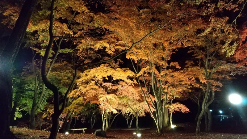 Photo/一般社団法人長瀞町観光協会