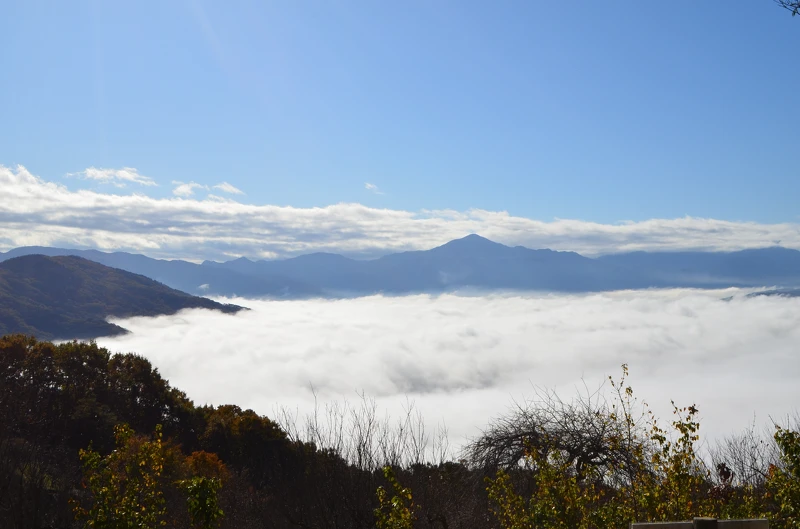 Photo/一般社団法人長瀞町観光協会
