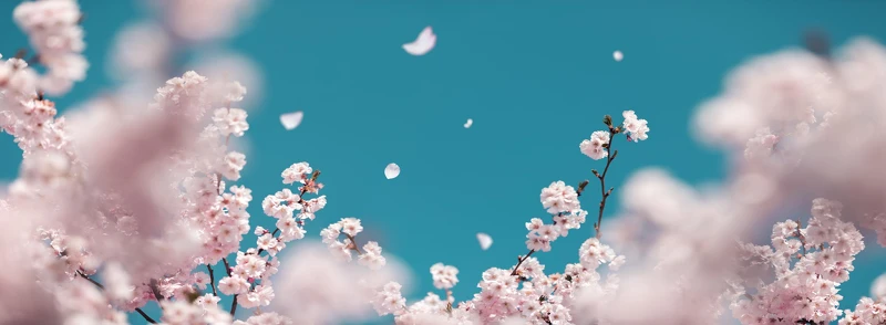 圖片/Getty Images 圖片/Getty Images
