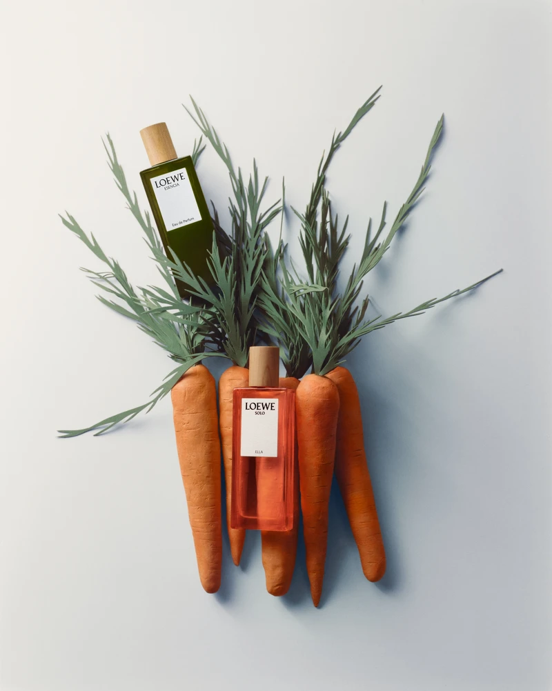 LOEWE獨奏宣言女士&黑色圓舞曲淡香精形象圖。 LOEWE獨奏宣言女士&黑色圓舞曲淡香精形象圖。