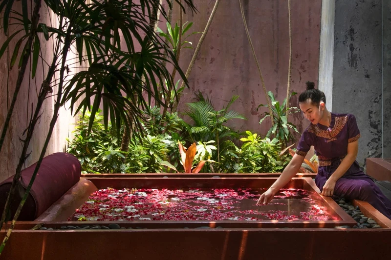 雞蛋花的沉浸浴池。 雞蛋花的沉浸浴池。