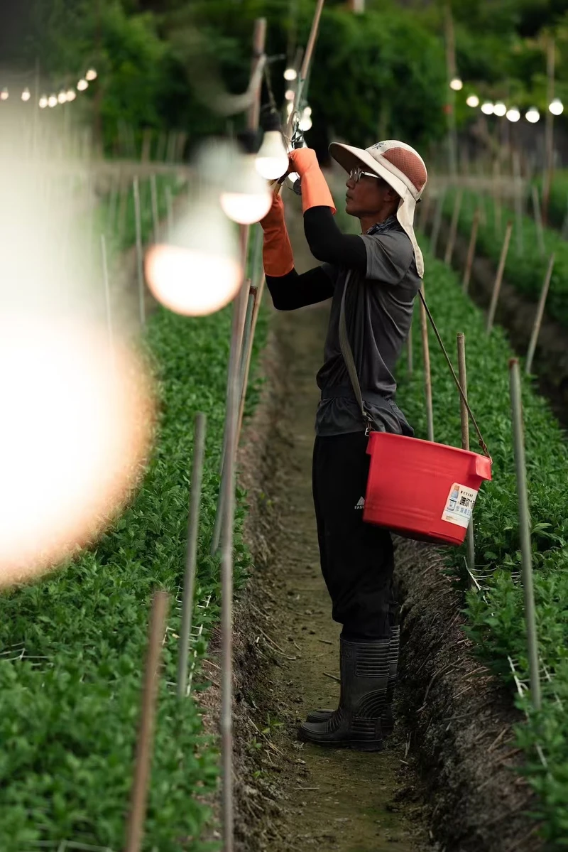 田尾休閒農業協會 授權提供。
