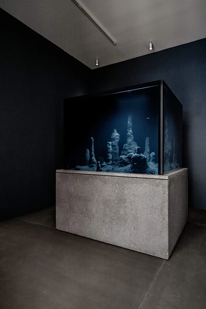 Circadian Dilemma (El Día del Ojo), 2017｜文心藝術基金會提供 Courtesy Winsing Arts Foundation. Photo © OS Studio