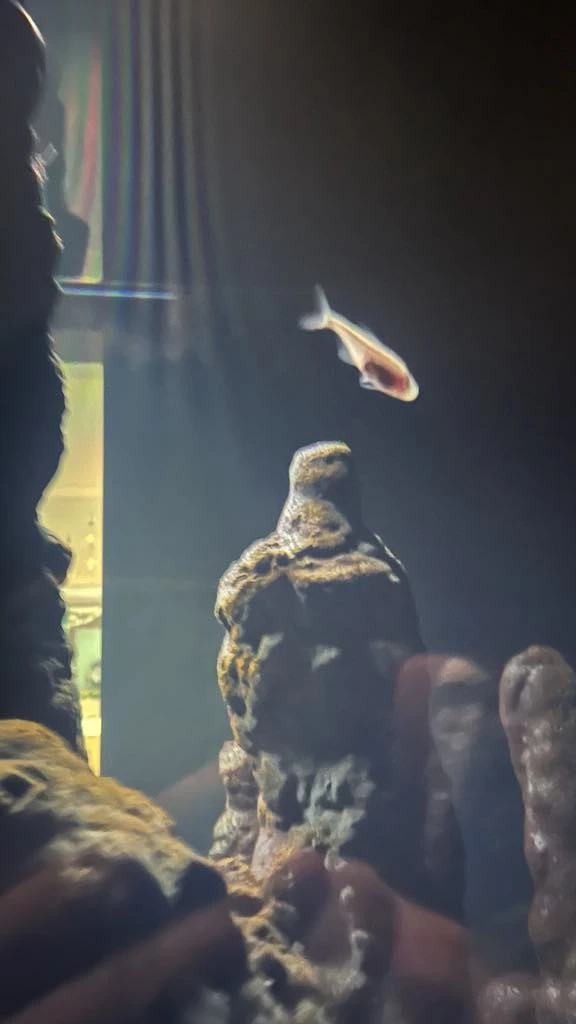 Melody TU 採訪拍攝