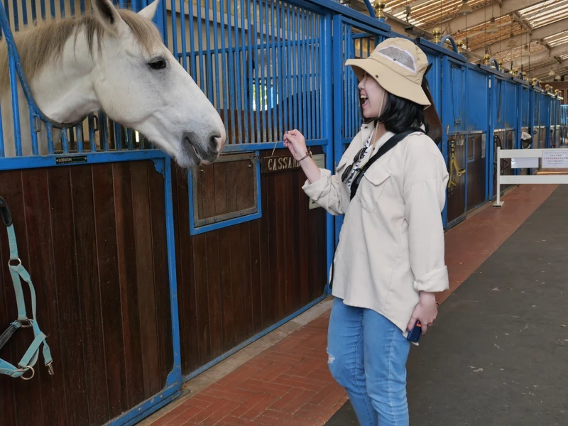 來到「Nasu Farm Village 」的訪客可以親自與馬兒互動。 來到「Nasu Farm Village 」的訪客可以親自與馬兒互動。