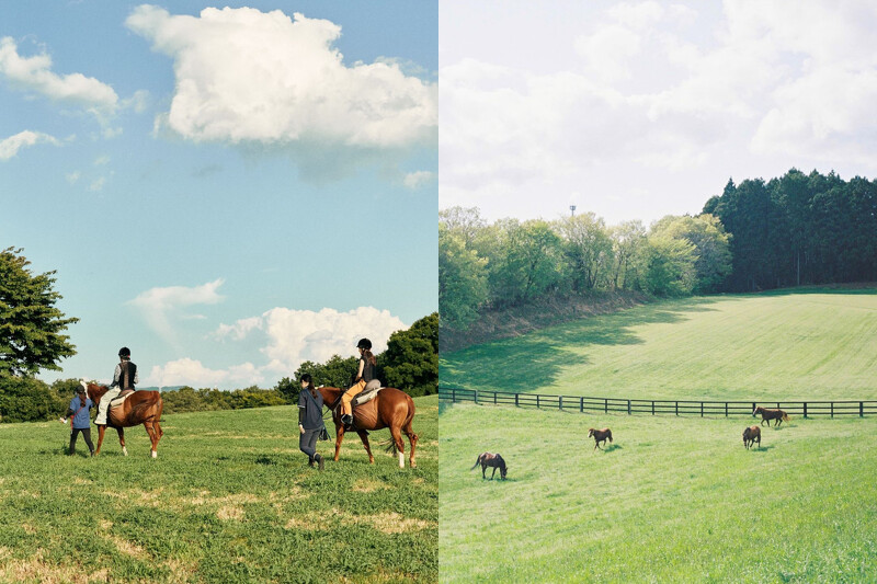 提供乘馬體驗。 提供乘馬體驗。