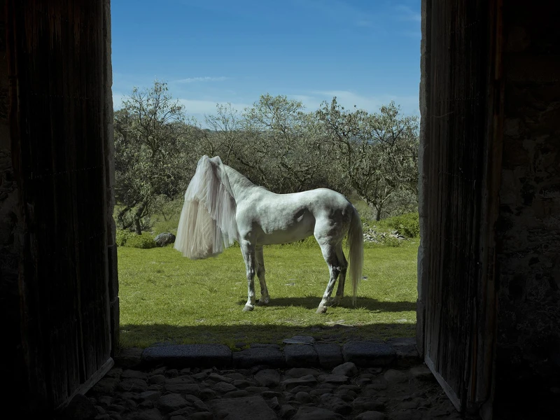 我曾居住的地方 ALLÁ DONDE VIVIA 2021|100 x 124 cm 我曾居住的地方 ALLÁ DONDE VIVIA 2021|100 x 124 cm