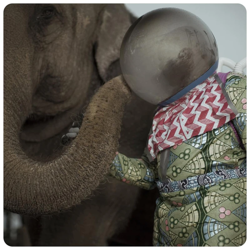 BUTUNGAKUNA 2012|100 x 100 cm BUTUNGAKUNA 2012|100 x 100 cm