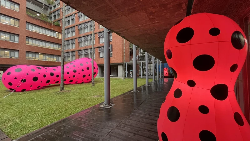 Melody TU 採訪拍攝 Melody TU 採訪拍攝